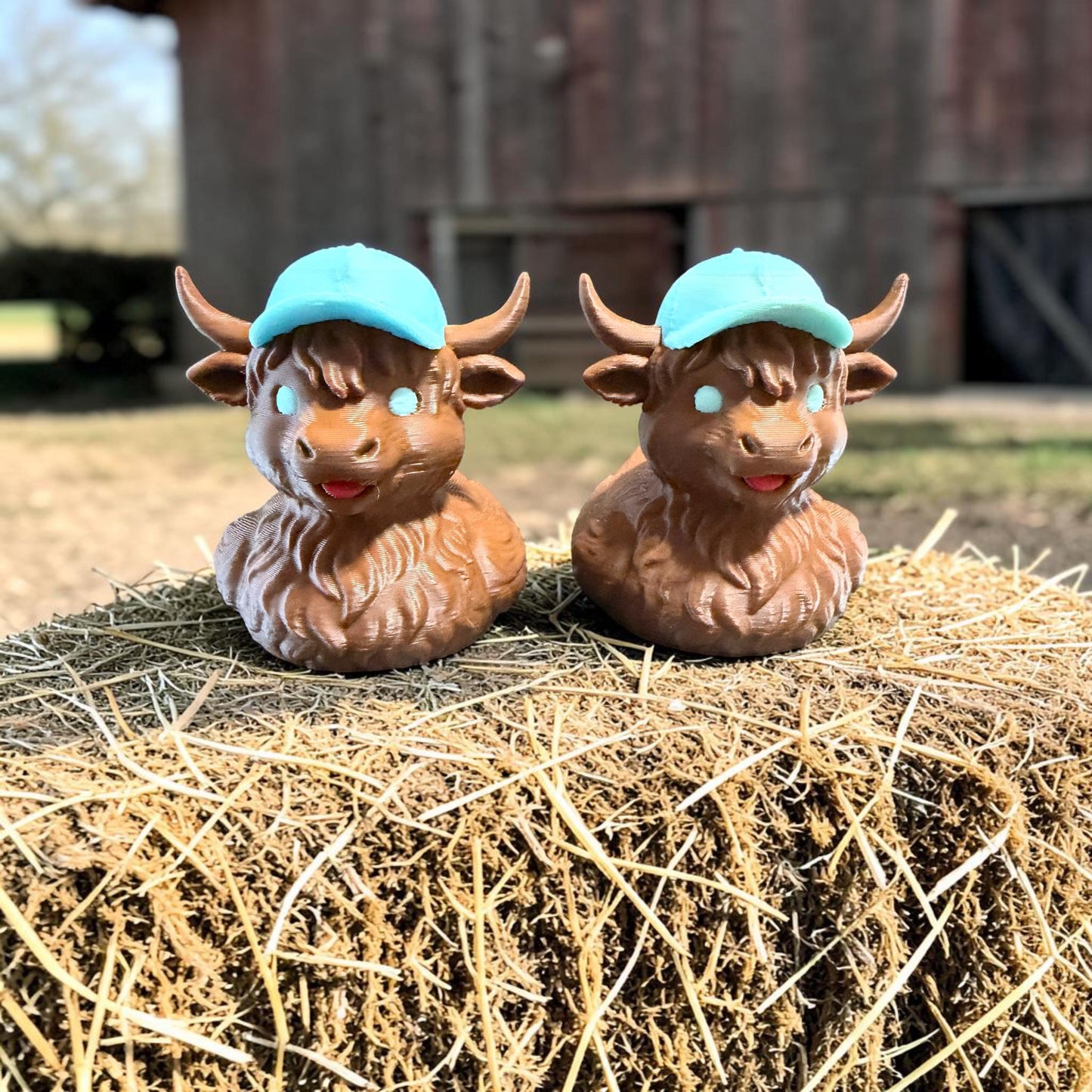 Teen Highland Cow, Cruise Duck, 3D Printed Duck