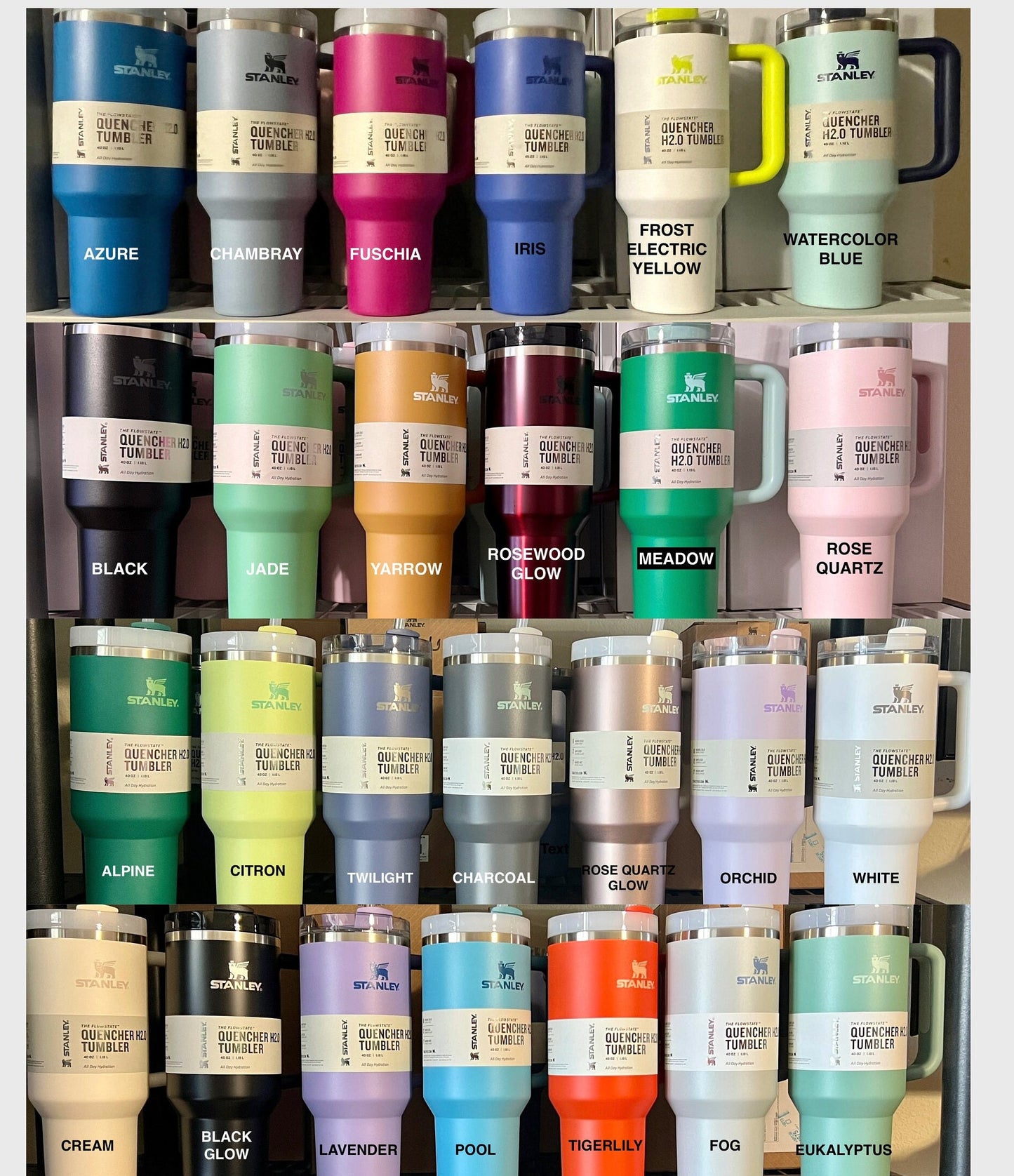 Santa Hat Pickles Stanley Tumbler: Laser Engraved Full Wrap (40/30 OZ)