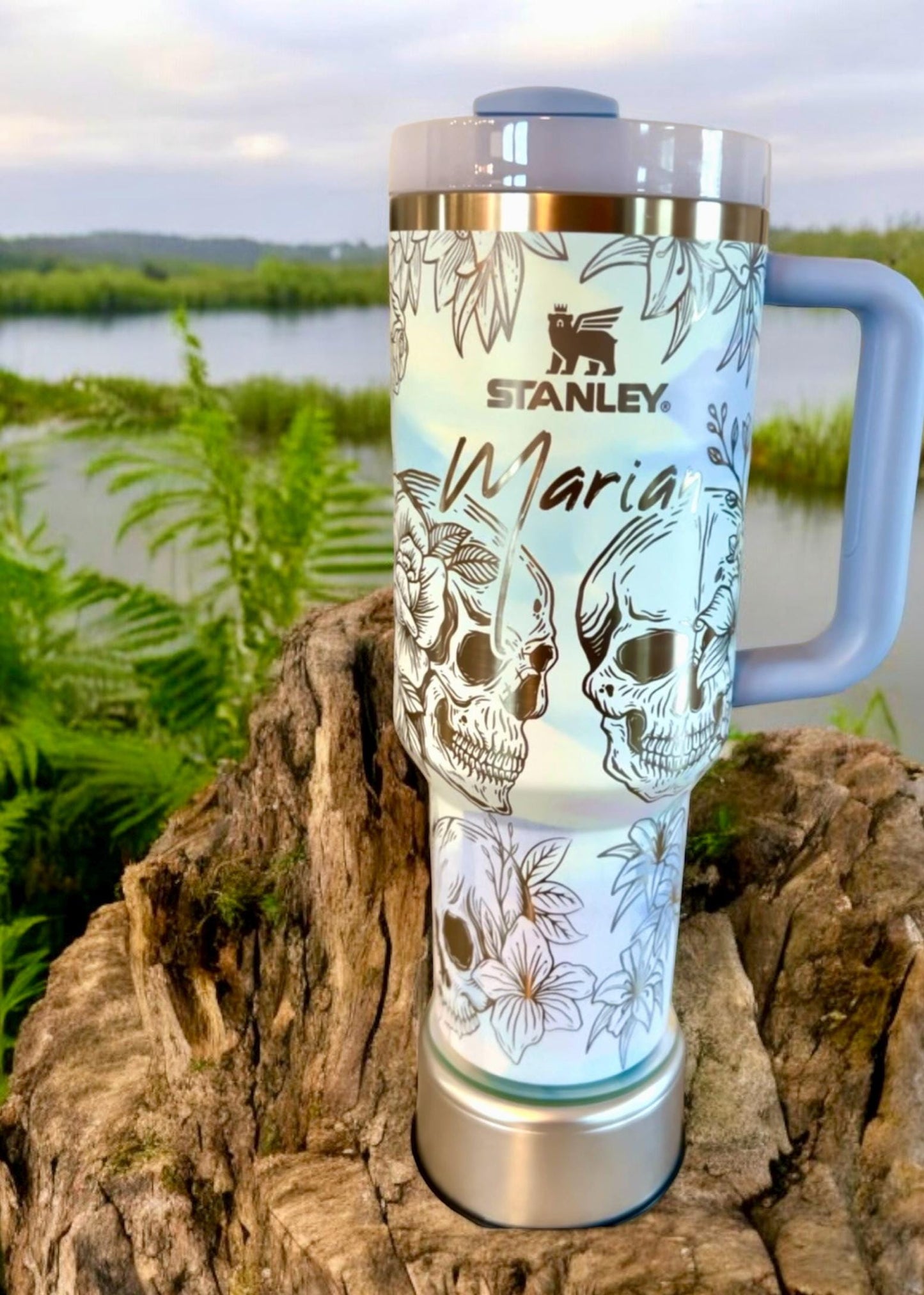 Color in Picture is cool brushstrokes