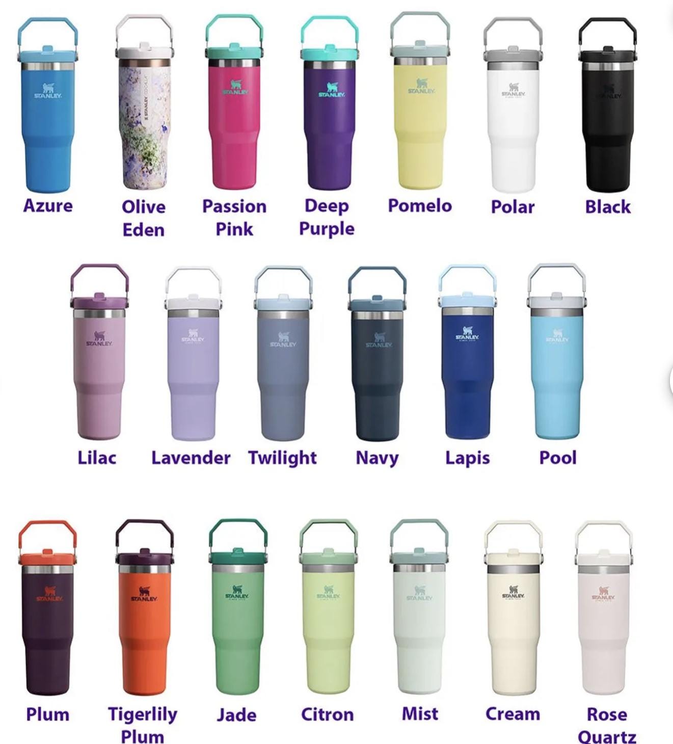 Engraved Stanley Iceflow 30 oz Tumbler: Dental Gift