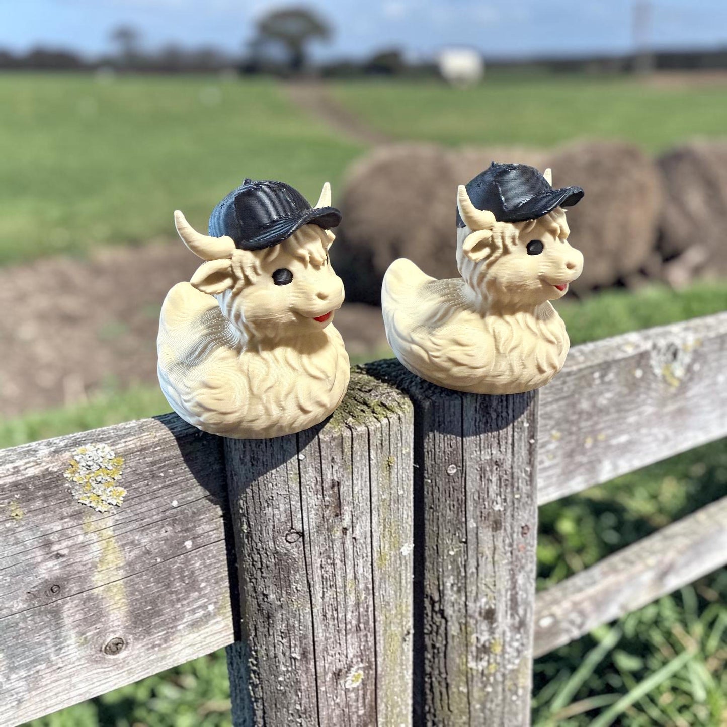 Teen Highland Cow, Cruise Duck, 3D Printed Duck