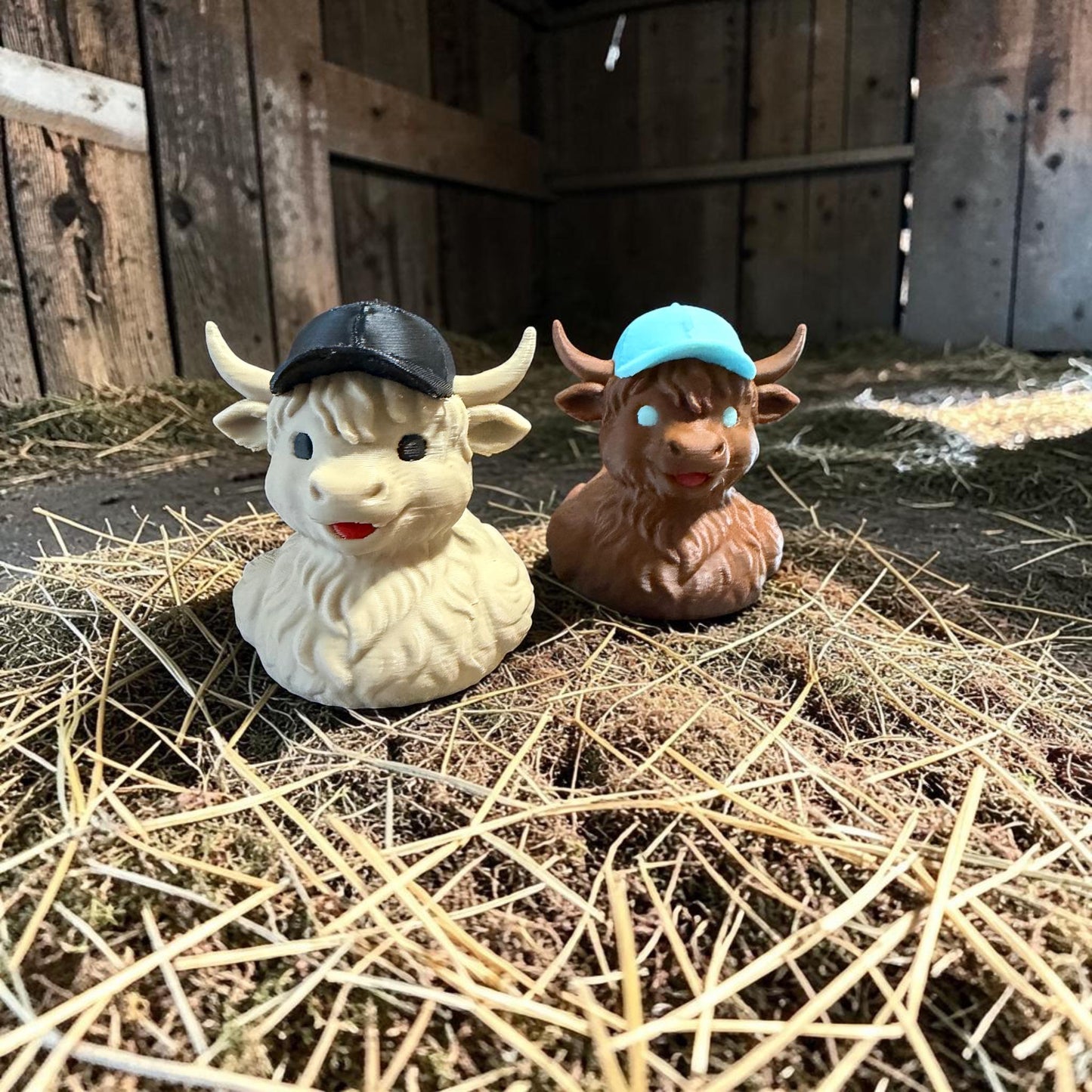 Teen Highland Cow, Cruise Duck, 3D Printed Duck
